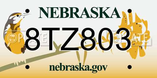 8TZ803 Nebraska License Plate