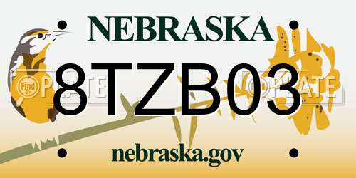 8TZB03 Nebraska License Plate