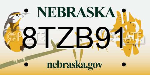 8TZB91 Nebraska License Plate