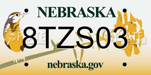 8TZS03 Nebraska License Plate
