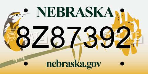 8Z87392 Nebraska License Plate