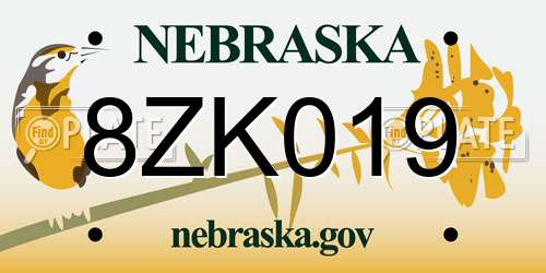 8ZK019 Nebraska License Plate