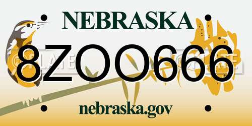 8ZOO666 Nebraska License Plate