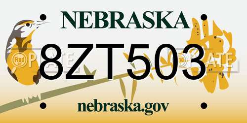 8ZT503 Nebraska License Plate
