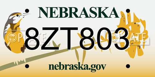 8ZT803 Nebraska License Plate
