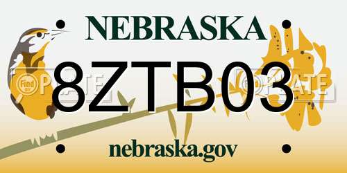 8ZTB03 Nebraska License Plate