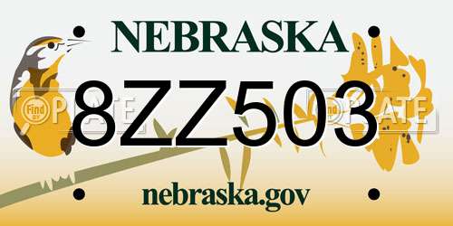 8ZZ503 Nebraska License Plate