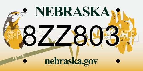 8ZZ803 Nebraska License Plate