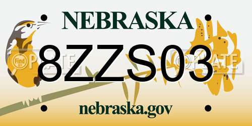 8ZZS03 Nebraska License Plate
