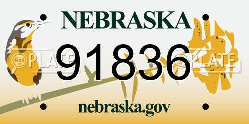 91836 Nebraska License Plate