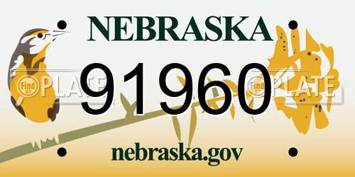 91960 Nebraska License Plate