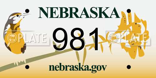 981 Nebraska License Plate