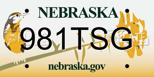 981TSG Nebraska License Plate