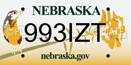 993IZT Nebraska License Plate