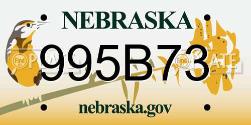 995B73 Nebraska License Plate