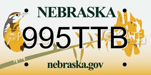 995TTB Nebraska License Plate