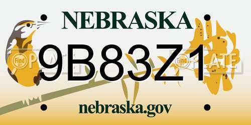 9B83Z1 Nebraska License Plate
