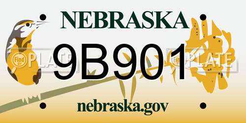 9B901 Nebraska License Plate