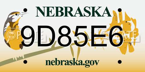 9D85E6 Nebraska License Plate