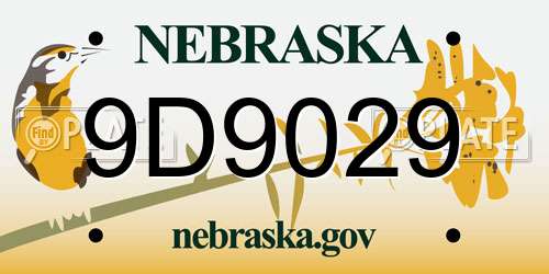 9D9029 Nebraska License Plate