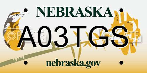 A03TGS Nebraska License Plate