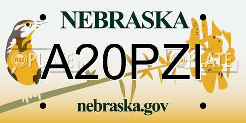 A20PZI Nebraska License Plate
