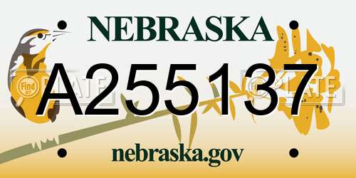 A255137 Nebraska License Plate