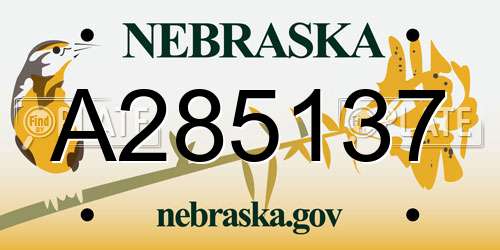 A285137 Nebraska License Plate