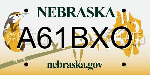 A61BXO Nebraska License Plate