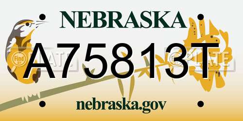 A75813T Nebraska License Plate