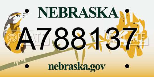 A788137 Nebraska License Plate