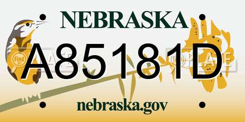 A85181D Nebraska License Plate