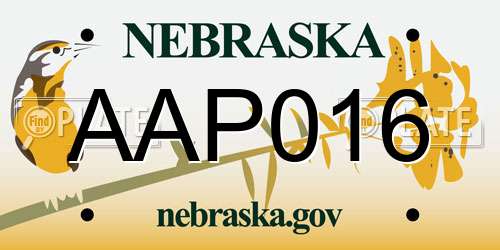 AAP016 Nebraska License Plate