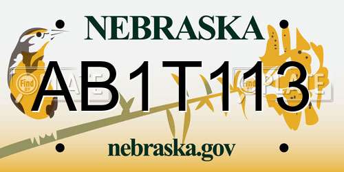 AB1T113 Nebraska License Plate
