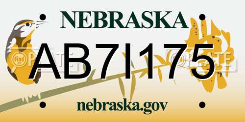 AB7I175 Nebraska License Plate