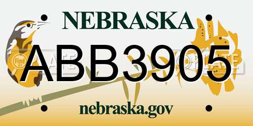 ABB3905 Nebraska License Plate