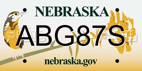 ABG87S Nebraska License Plate