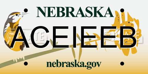 ACEIEEB Nebraska License Plate