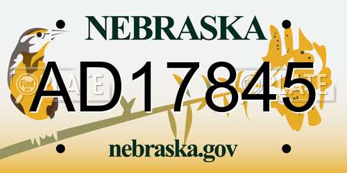 AD17845 Nebraska License Plate