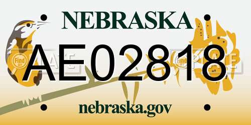 AE02818 Nebraska License Plate