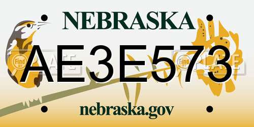AE3E573 Nebraska License Plate