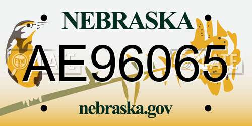 AE96065 Nebraska License Plate