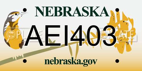 AEI403 Nebraska License Plate