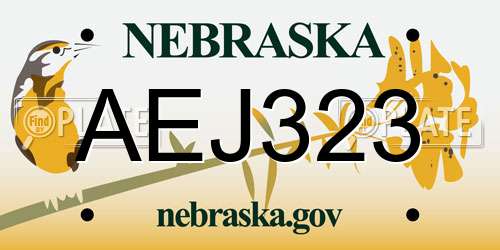 AEJ323 Nebraska License Plate