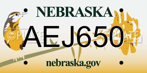 AEJ650 Nebraska License Plate