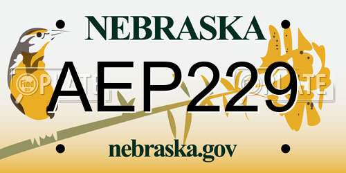 AEP229 Nebraska License Plate