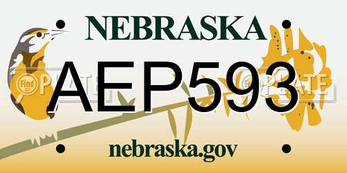 AEP593 Nebraska License Plate