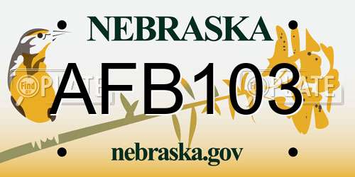 AFB103 Nebraska License Plate