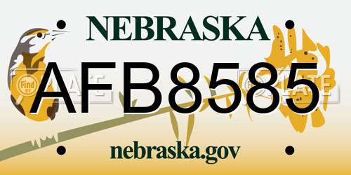 AFB8585 Nebraska License Plate