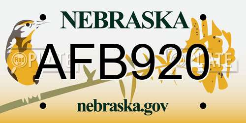 AFB920 Nebraska License Plate